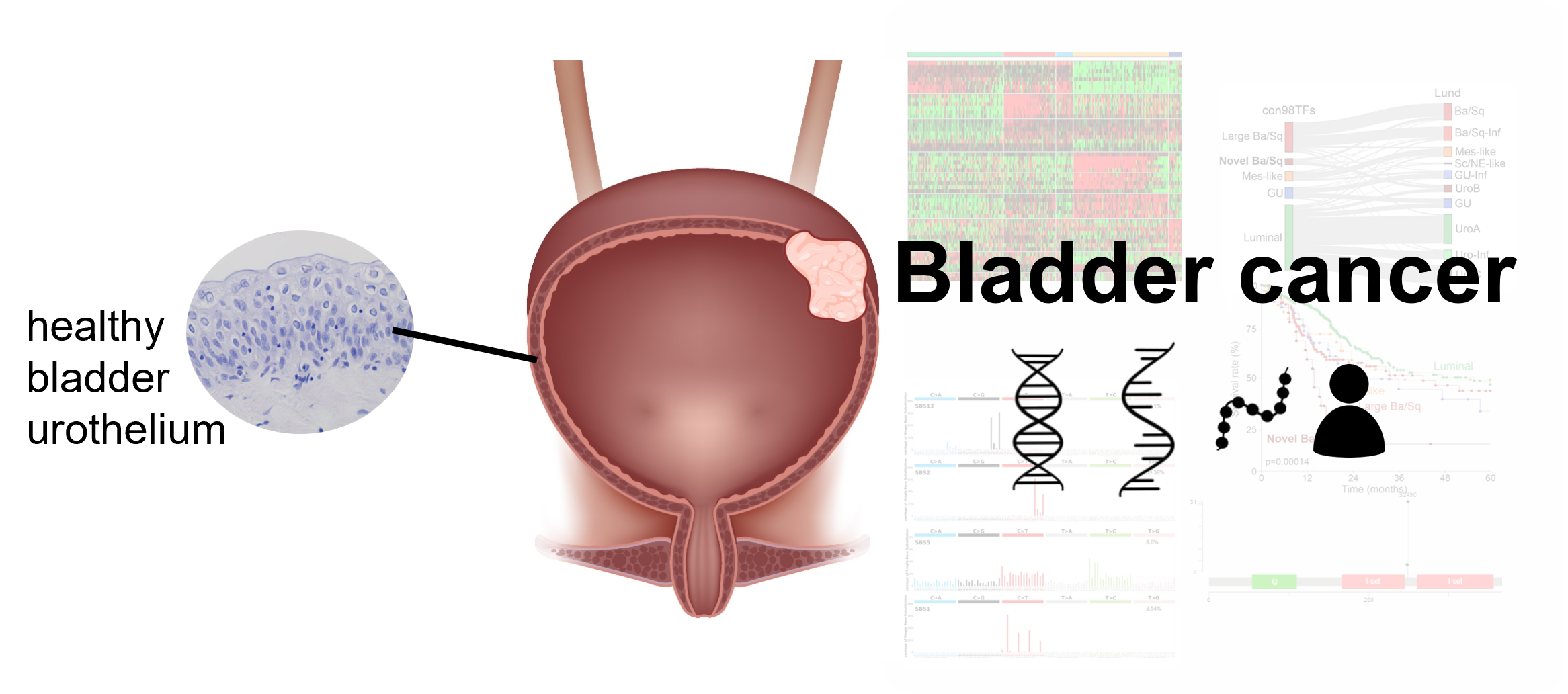 project banner
